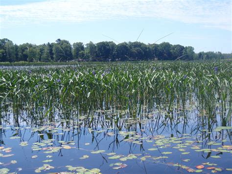 Live2KayakFish: Tawas Lake, East Tawas Michigan