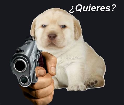 Quieres Meme - IdleMeme