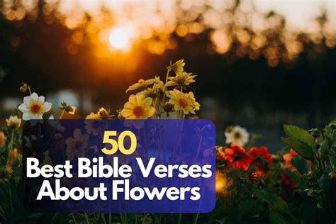 50 Best Bible Verses About Flowers – Bible Verses of the day