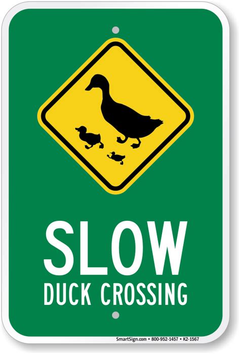 Duck Crossing Signs | Ducks, Geese Xing
