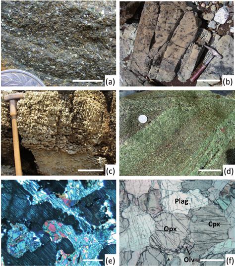 Crustal rocks of the Massif du Sud ophiolite. (a) Dunite with cumulus ...