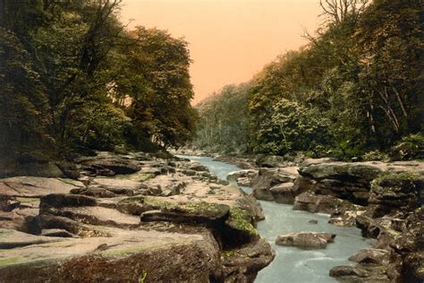 Strid Woods, Bolton Abbey Estate - Upper Wharfedale Field Society