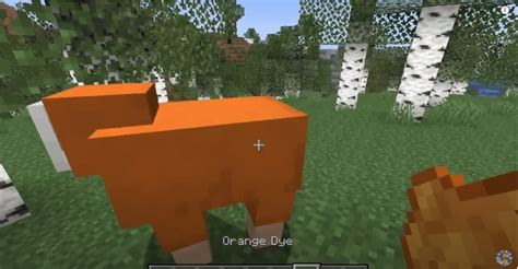 How to get Orange Dye in Minecraft and what to do with it!