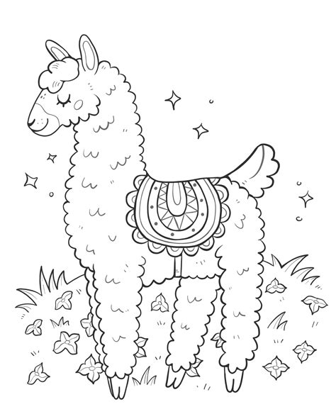 Cute Llama Drawing