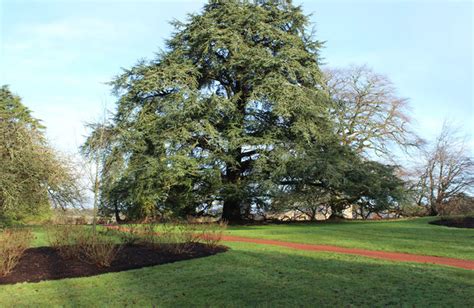 Dumfries House Gardens © Billy McCrorie cc-by-sa/2.0 :: Geograph Britain and Ireland