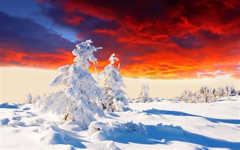 Landscape Winter Sunset