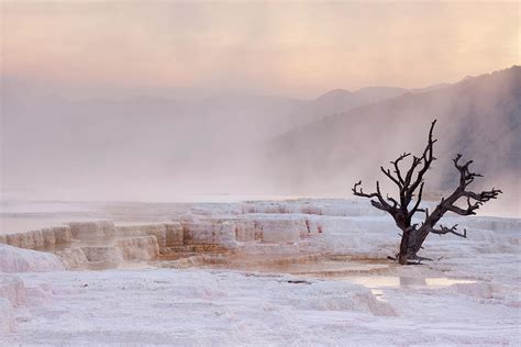 Mammoth Hot Springs In Yellowstone Photograph by Sara winter - Fine Art America