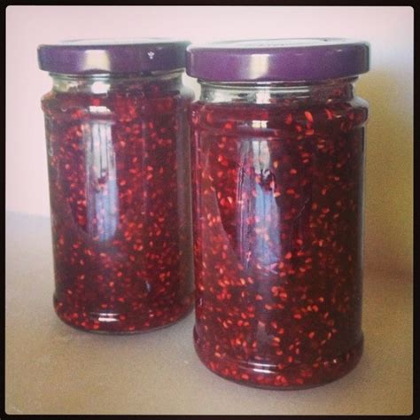 Wild Raspberry Jam - Mo Wilde