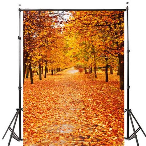 5x7ft Vinyl Autumn Fall Photography Background Photo Studio Prop Backdrop – Alexnld.com