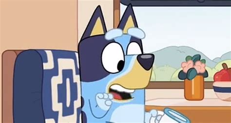 Watch Bluey Season 1 Episode 43 - Camping online FREE : r/bluey