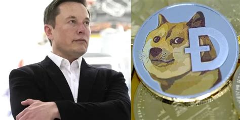 Elon Musk Posts Meme, Causes Dogecoin To Surge By $320 Milli