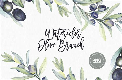 Watercolor botanic olive branch ~ Illustrations ~ Creative Market