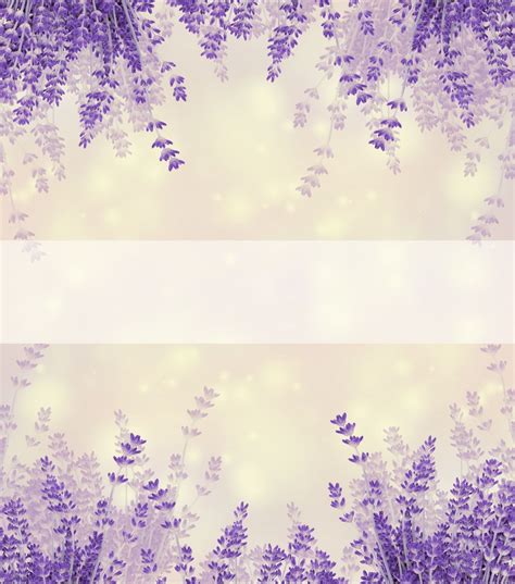 Lavender Flowers Background | Flower backgrounds, Beautiful backgrounds, Background