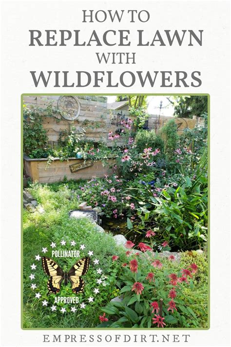 the cover of how to replace lawn with wildflowers