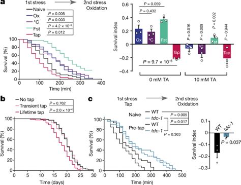 The flight response impairs cytoprotective mechanisms by activating the insulin pathway | Nature