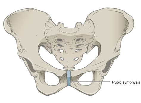 How that scary snapping feeling in the front of your pelvis can actually come from tight muscles ...