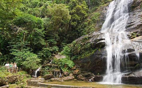 Tijuca Forest and Botanical Garden Expedition - Welcome to Rio De Janeiro, Home of the Christ ...