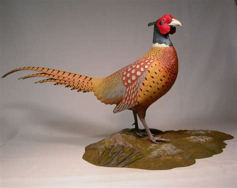 26" Ring-necked Pheasant Orig Bird Carving/Birdhug | eBay