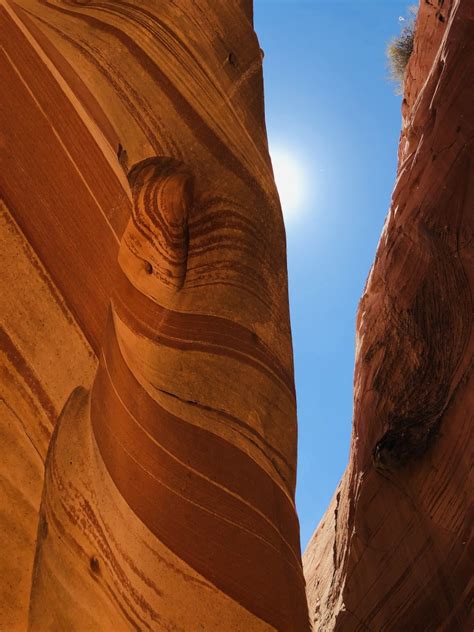 ZEBRA SLOT CANYON – SALVI NOMAD | Slot canyon, Canyon, Bryce national park