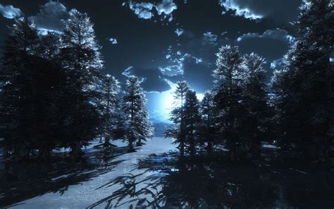 Moonlight Forest Wallpapers - Top Free Moonlight Forest Backgrounds ...