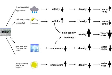 Seaweek resources — Science Learning Hub