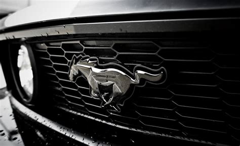 Mustang Logo Wallpapers HD - Wallpaper Cave