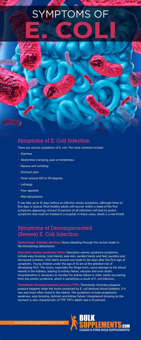 E. Coli Infection: Symptoms, Causes & Treatment