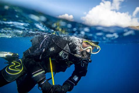 Learn to Dive | PADI Dive Courses | Dive Zone Bay of Islands | Dive ...