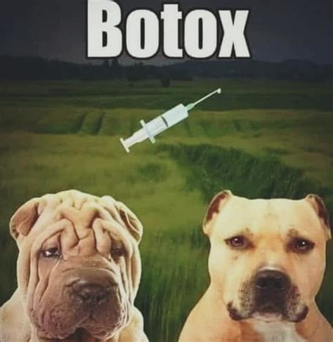 Botox time ! : r/funny