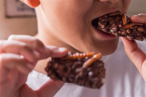 Countries That Eat Insects: Which Countries Eat Bugs as Food? - Wego.com