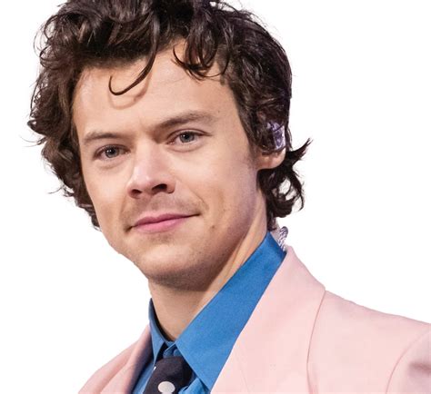 Singer Harry Styles PNG Image - PNG All | PNG All