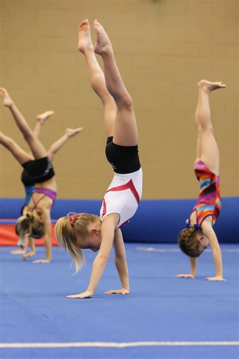 Handstands in gymnastics - Delta Gymnastics Brisbane, Gold Coast ...