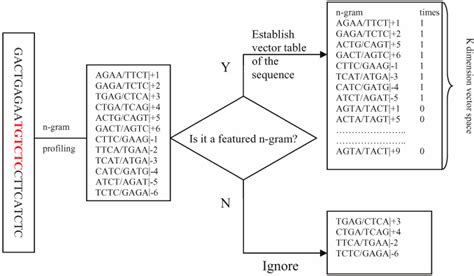 Vector representation of DNA sequence using the featured... | Download Scientific Diagram