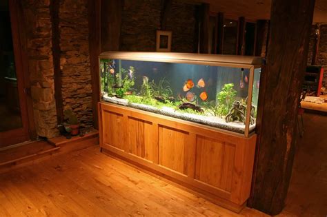 40 Gallon Aquarium Guide: Best Fish, Setup Ideas and More… | Fishkeeping World