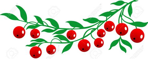 Cranberry clipart - Clipground