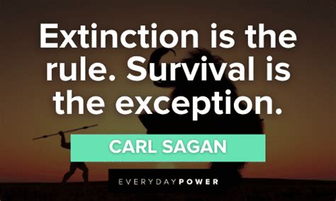 150 Survival Quotes Celebrating the Human Spirit