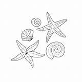 Premium Vector  Set With starfish And Shells Coloring Book For sketch template