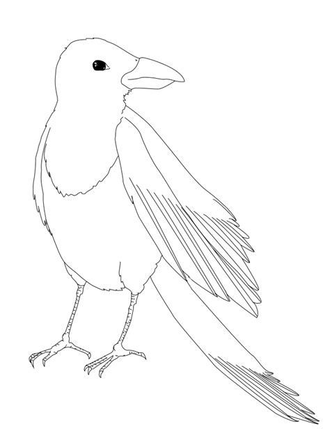 Magpie Outline by Vokona on DeviantArt