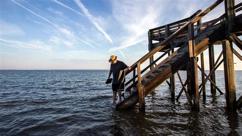 King Tide Photos: 7 Images (and 1 Video) That Show the Bizarre Nature of the Year's Highest Tide ...