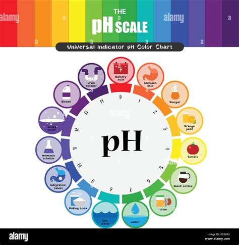 La escala de ph indicador universal de ph ácido diagrama de color ...