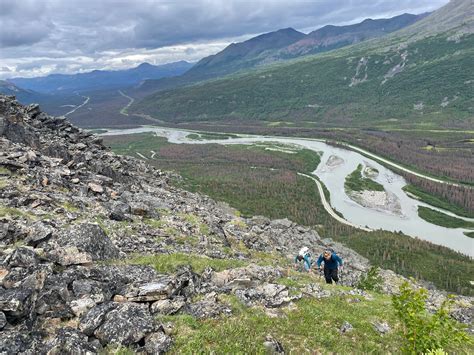 The Top 10 Reasons You NEED to go on a Hiking Tour in Denali National ...