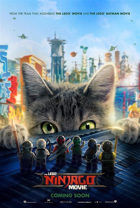 LEGO Ninjago Movie cat poster | Confusions and Connections