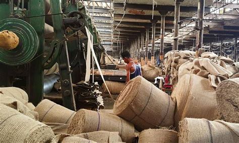 A new MSP-driven era beckons Indian jute industry