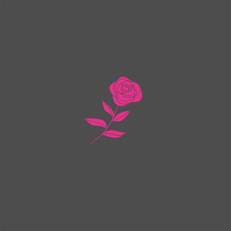 Pink Rose Logo Design - Mash Up Creative - Logo Design, Graphic Design and Website Design Agency ...