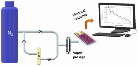 Schematic representation of the customized VOCs detection system used ...