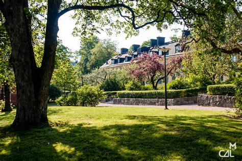 Stockholm Skeppsholmen : plein de vert | Mon chat aime la photo