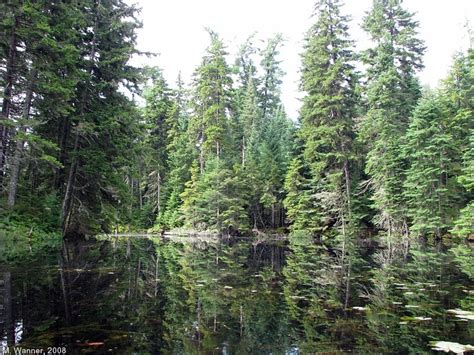 Rainbow Lake - Historic Saranac Lake - LocalWiki