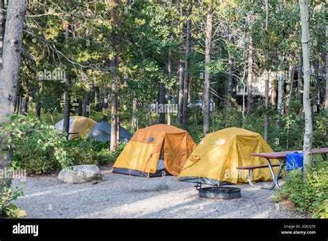 Campground, Glacier National Park, Montana, USA Stock Photo - Alamy