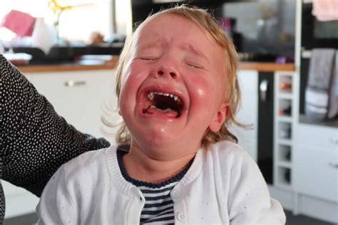 How To Cope With Your Child's Tantrums - Whoobly