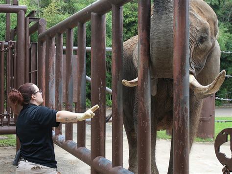 Cameron Park Zoo adjusts to quiet spring without Waco tourists | Local News | wacotrib.com